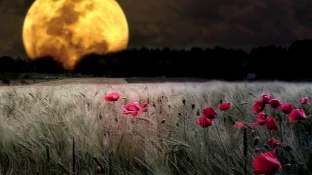 Светлана Сурганова. "УЖЕ НЕ ВЕРНУСЬ." Студия "Два товарища". Видеоклип № 17 смотреть онлайн