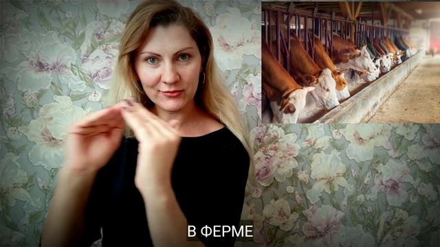 "ДОМАШНИЕ ЖИВОТНЫЕ И ПТИЦЫ" на жестовом языке смотреть онлайн
