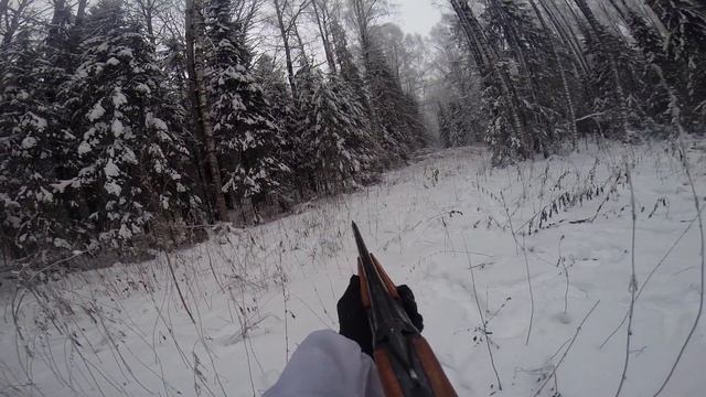 Хитрый заяц. И вышел заяц на охотника! смотреть онлайн
