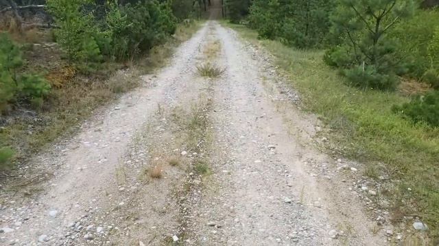 Прогулка по национальному парку Куршской косы смотреть онлайн