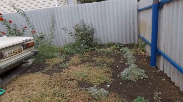 Xiaomi MiJia 4K пробные записи смотреть онлайн