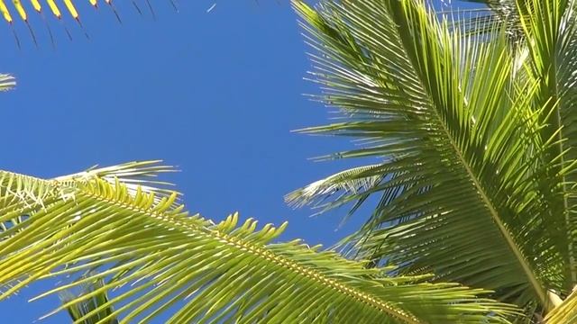 карибы смотреть онлайн