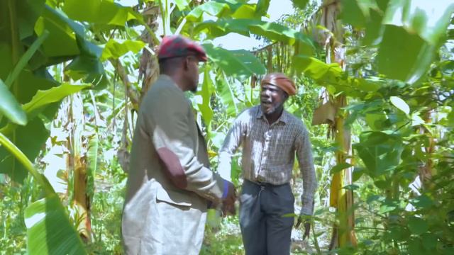 Lanmou Barikade Saison 2 Épisode#25 •Dema-Ton Tine-Lala-Bouliki-Kalabwa-Bidjy-Nini-Madou-Prince-Sis смотреть онлайн