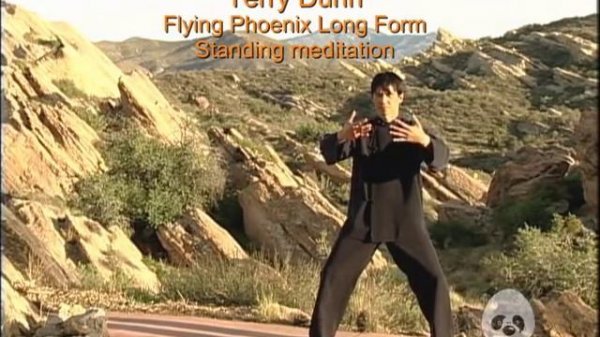 Flying Phoenix Heavenly Healing Chi Meditation [Chi Kung For Health, Vol. 4, with Terence Dunn]