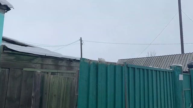 МЕНЯЮ ПОЛ СМЕНА ДОКУМЕНТОВ часть 2 влог смотреть онлайн