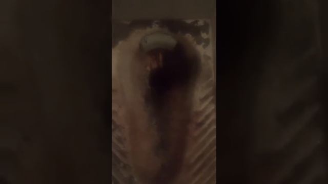 Чаша Генуя. Правильное использование смотреть онлайн