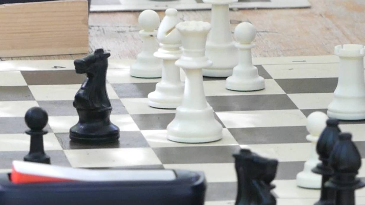 Шахматный турнир на призы Ставропольской городской Думы принимал Парк Победы.