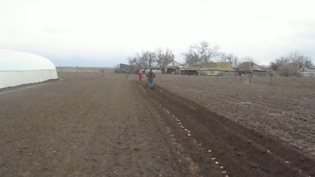 ПОСАДКА КАРТОПЛІ смотреть онлайн