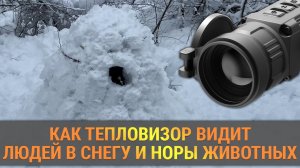 Видит ли тепловизор человека в снегу и норы животных? Тесты в снежную погоду от iRay!