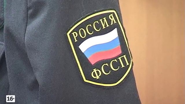 Сила закона в его исполнении. 1 ноября День судебного пристава смотреть онлайн