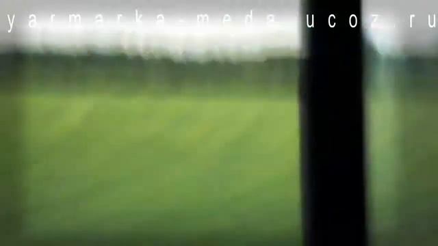 Пчел в лес за медом