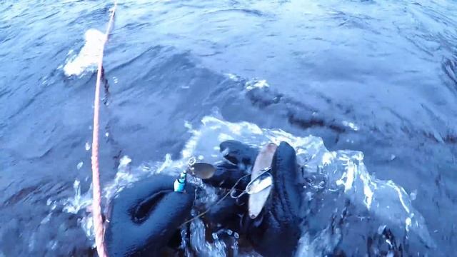 СКАЗОЧНОЕ МЕСТО / ВОБЛЕРА И БЛЕСНА НА КАЖДОМ МЕТРЕ / WOBBLER AND SPINNER ON EVERY METER смотреть онлайн