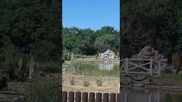Лавандовые поля на черном море / краснодарский край, фадеево смотреть онлайн