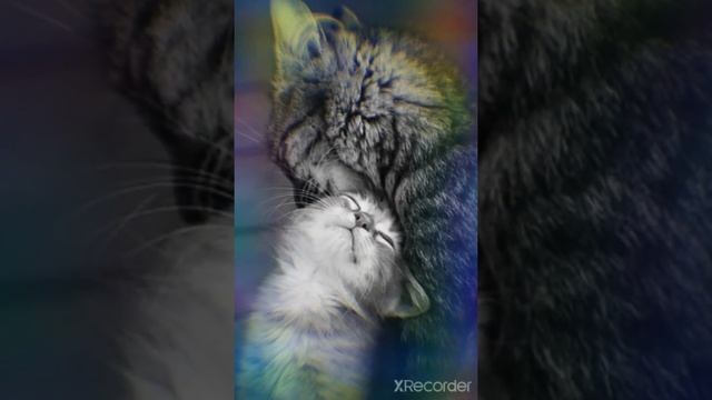 ЖДИТЕ СВОЮ ЛЮБОВЬ❤️И ОНА К ВАМ В СКОРОМ ВРЕМЕНИ ПРИДЁТ❤️?КЛИП:ФРАНЦУСКИЙ ПОЦЕЛУЙ❤️? смотреть онлайн