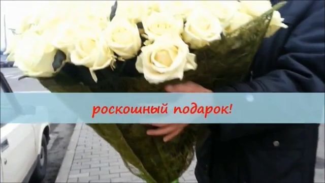 101 белая роза 70 см смотреть онлайн