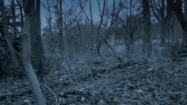 AS wjec Parrs wood Thriller opening "Alive" смотреть онлайн