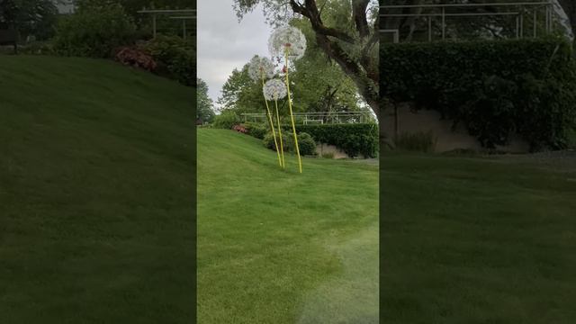 Дома в Швейцарии. 4.06.22 смотреть онлайн