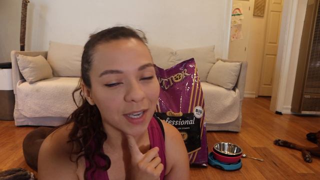 Cane Corso, Doberman and Rottweiler Reviews Victor Premium Dog Food смотреть онлайн