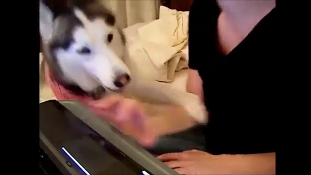 FUN VIDEO #12