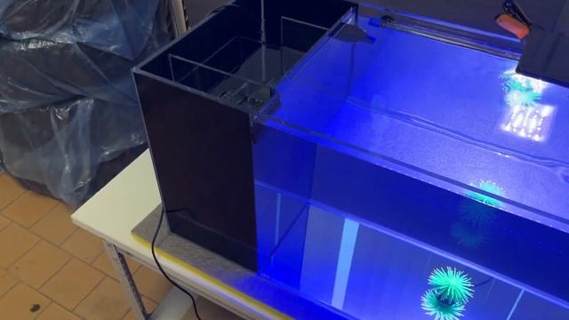 Морской аквариум с боковым сампом 90х40х40. Новая конструкция сампа для полноразмерного пенника. смотреть онлайн