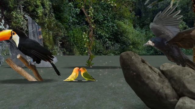 Birds Size Comparison. Which Bird is the Biggest? You'd be Surprised for Sure! смотреть онлайн