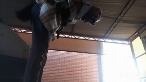 как научится прыгать? квадробика) #прыжок #квадробер #квадробер #квадробика #териан #квадробика