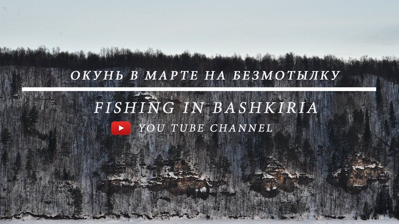Окунёчки окуньки с того берега реки. Павловка, окунь по весне. смотреть онлайн