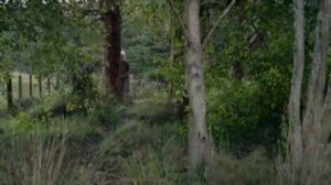 X — Русский трейлер (2022)