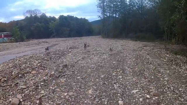 IRBIS TTR 250r Покатушки Адербиевка утром смотреть онлайн