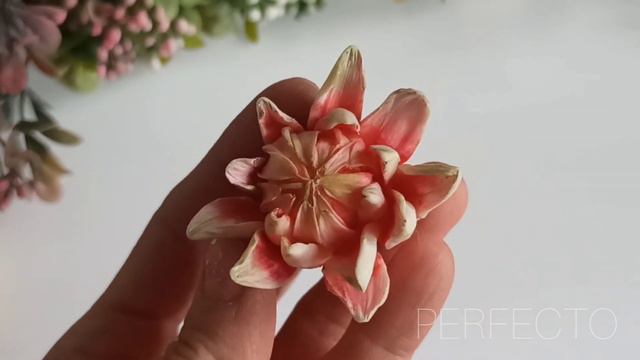 148 Георгины. Dahlia. Astra. смотреть онлайн