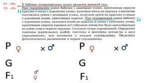 Сцепленное наследование с полом (задание №28 ЕГЭ).