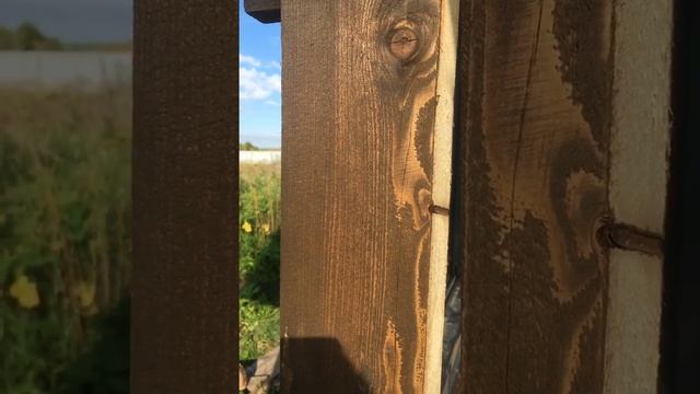 Масло для террас НЕОМИД смотреть онлайн