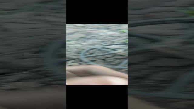 и опять она.