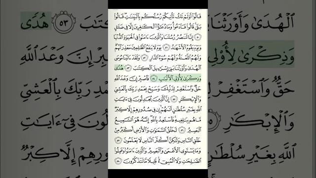 Al-Quran Recitation | Juzu 24 | Page 473 | Surah Ghafir Verse 50-58 | Qari Yasser ad-Dussary смотреть онлайн