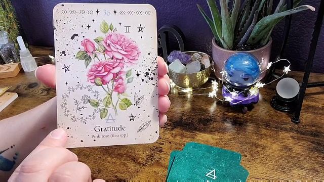 Green Witch Oracle | Unboxing and Flip Through смотреть онлайн