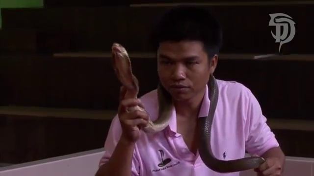 Phuket Snake World Show смотреть онлайн