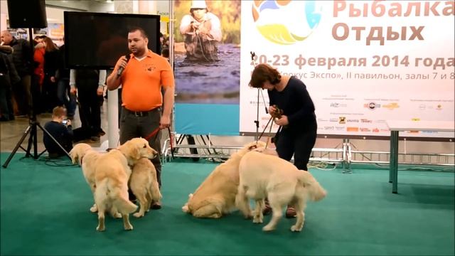 Охота. Рыбалка. Отдых. Весна 2014 16-я Международная выставка г. Москва смотреть онлайн