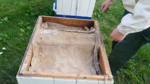 Поддерживающая подкормка. Готовим сироп пчелам. Выпуск 7