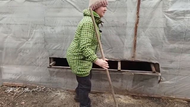ДЕРЕВЕНСКИЕ БУДНИ. Супер КУРЫ КРУГЛЫЙ ГОД НЕСУТ ЯЙЦА И НЕ УСТАЮТ! смотреть онлайн