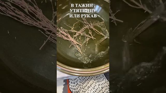 Приключения на Воде