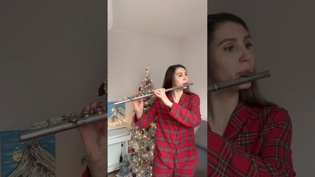 A. Vivaldi Violin Concerto A-minor Flute@Piano Accompaniment смотреть онлайн