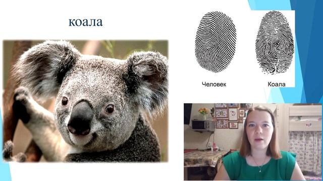 Видеобеседа: "Братья наши меньшие". Педагог Ишимбаева А.З. смотреть онлайн