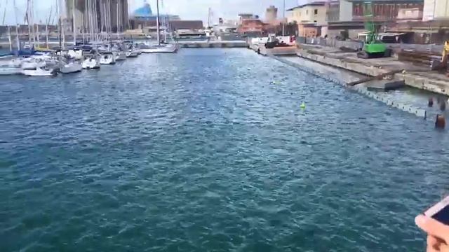 Ливорно. Тиррения смотреть онлайн