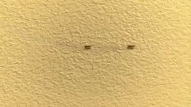 Хьар г1алахь хил хум ду бох 😂😂😂 смотреть онлайн