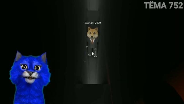 КОТ АЛЕКС СМЕШНЫЕ МОМЕНТЫ в ЗОНЕ 51 #2//СЕКРЕТЫ ЗОНЫ 51! Area 51 roblox смотреть онлайн