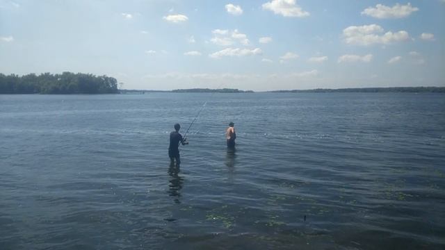 Ловля карпа в августе. Запорожье, р.Днепр. смотреть онлайн