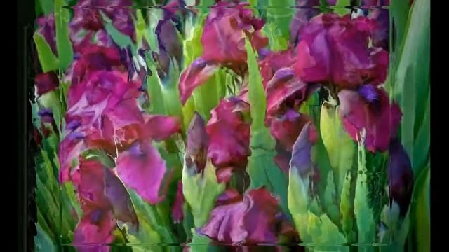 Великолепные ирисы под музыку Е.Доги. смотреть онлайн