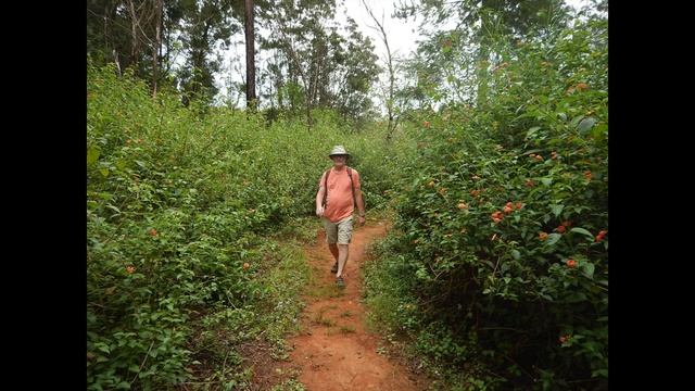 Hiking in Swaziland - Africa смотреть онлайн