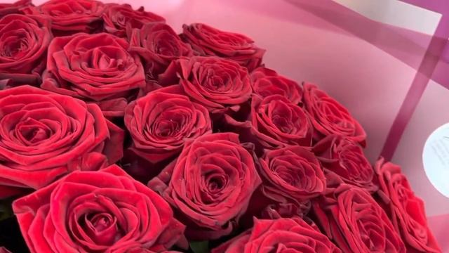 Букет из 51 розы Рэд Наоми 60 см смотреть онлайн