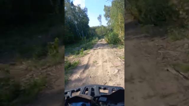 покатушки на Motoland Wild Track 200
